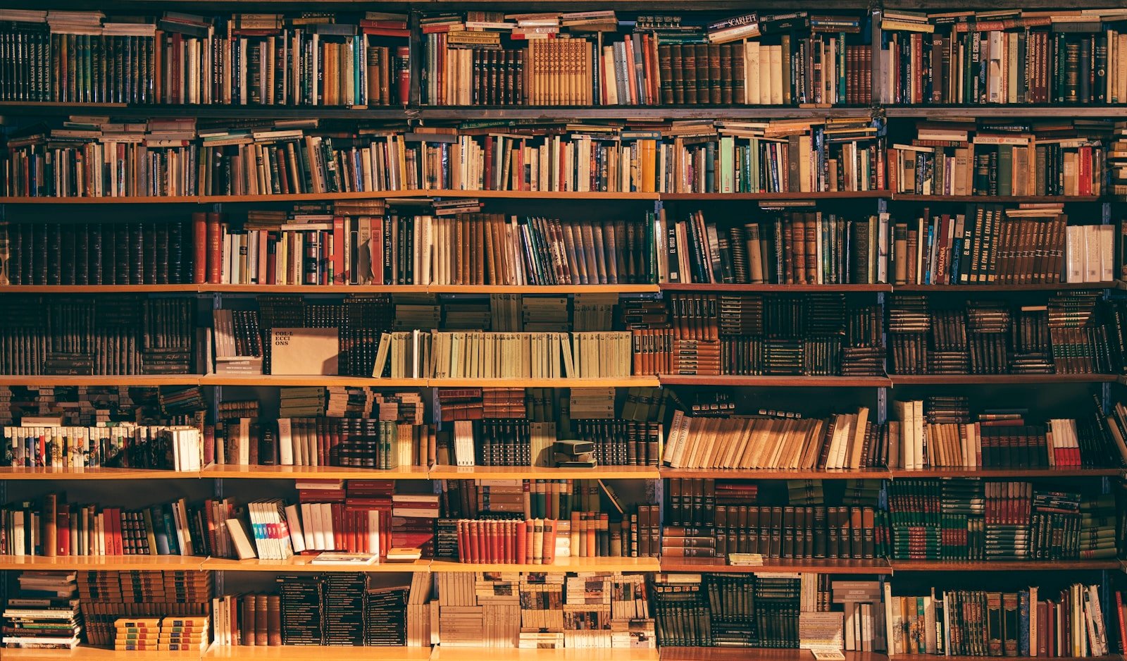 Floor-to-ceiling bookshelf in a bright library