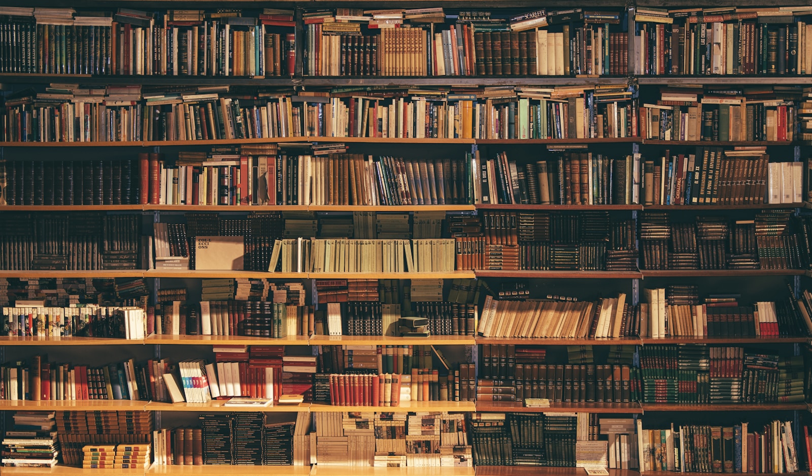 Floor-to-ceiling bookshelf in a bright library